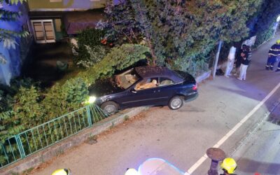 Auto in Zaun