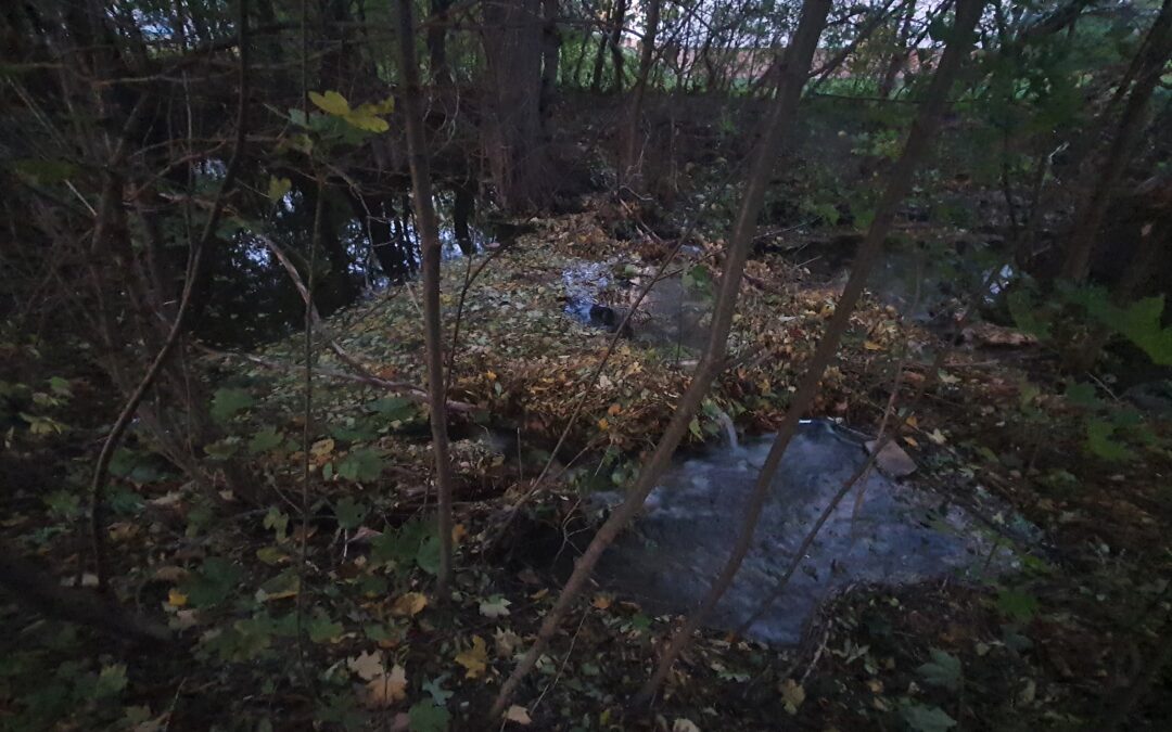 Verklausung im Mühlbach